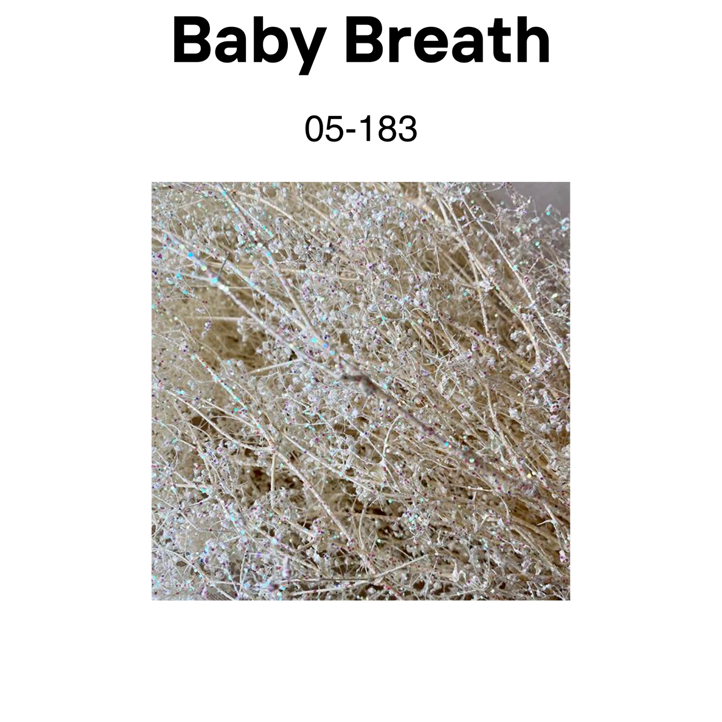 Baby Breath