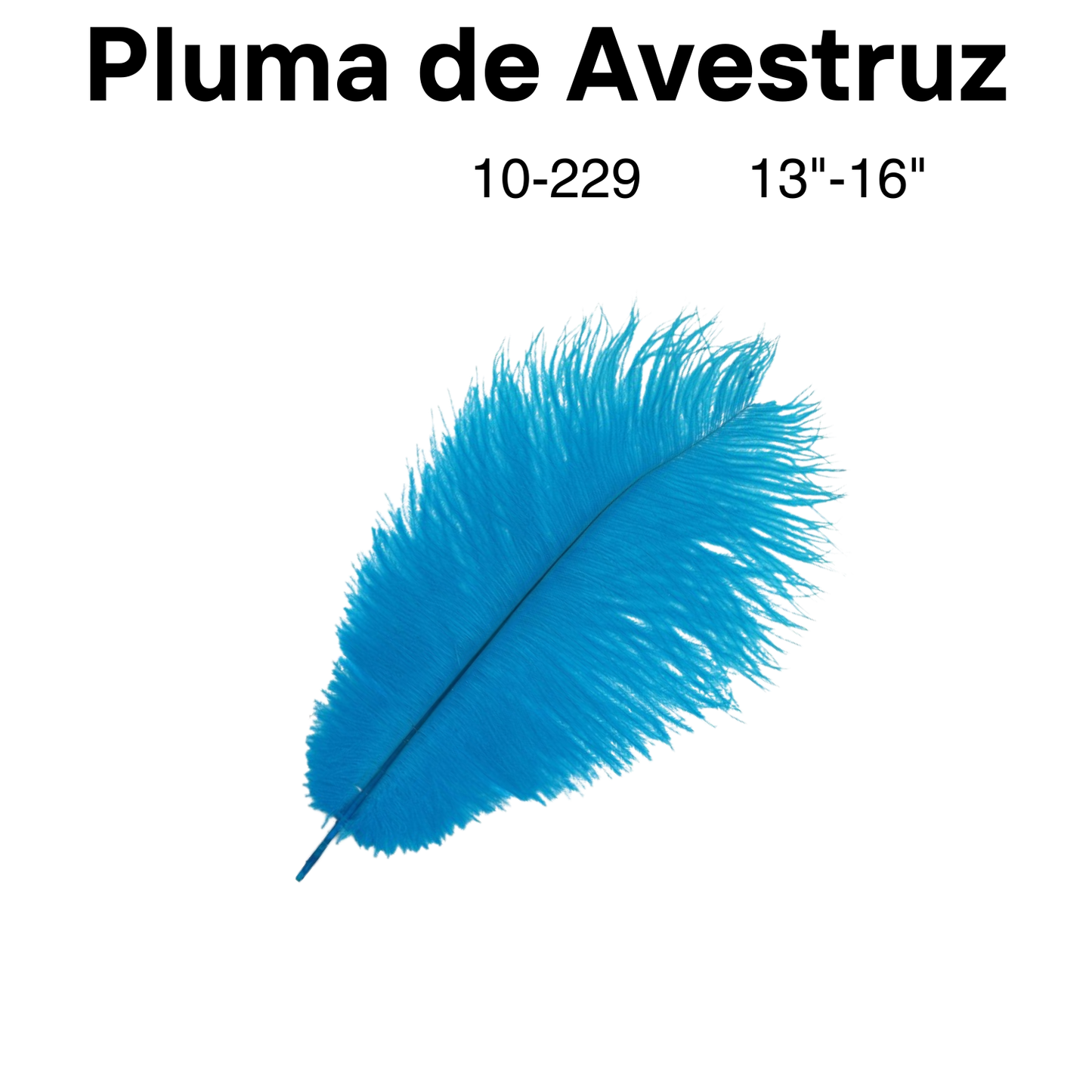 Plumas de Avestruz 13"-16" 1pc/bag