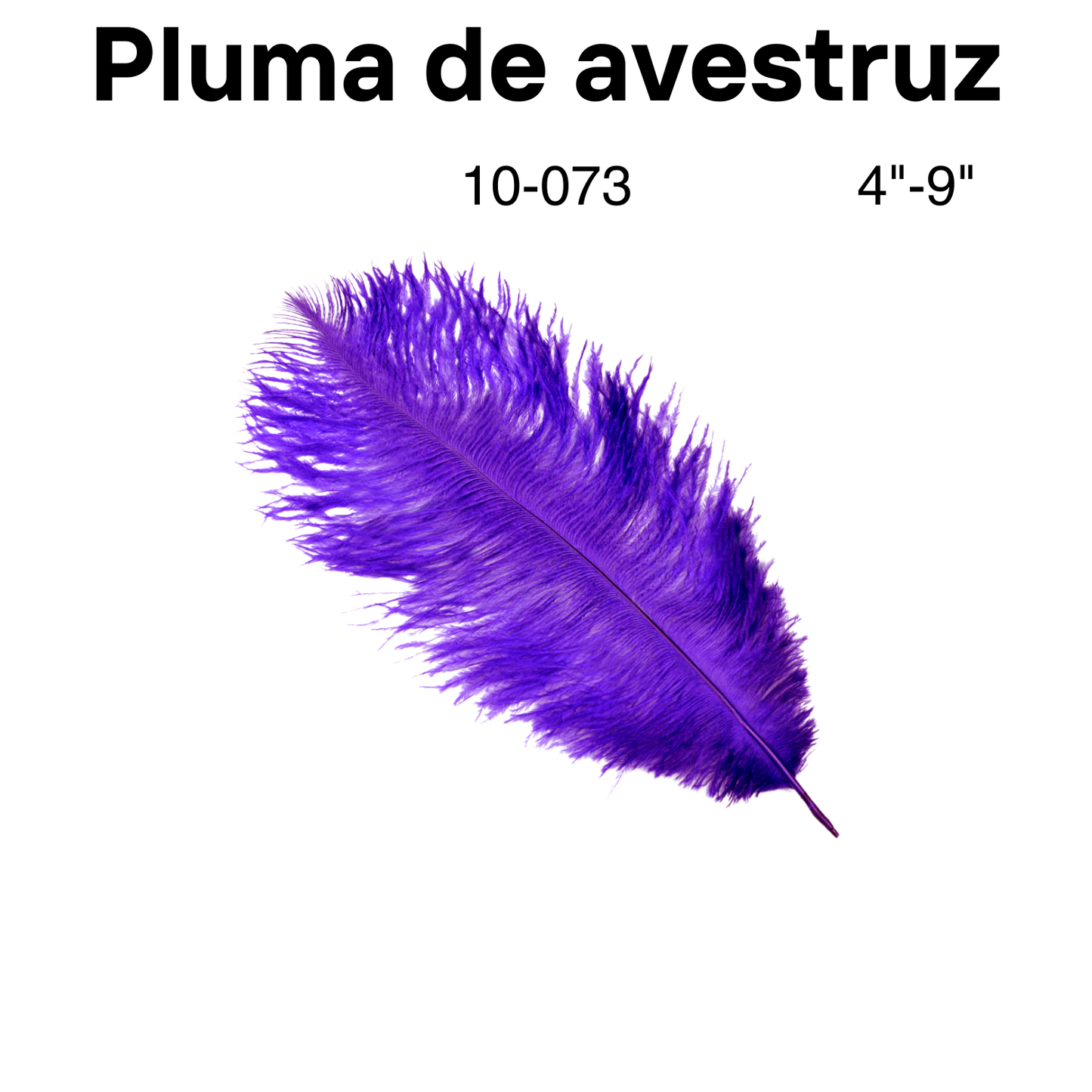 Pluma de Avestruz 4"-9" 1pc/bag