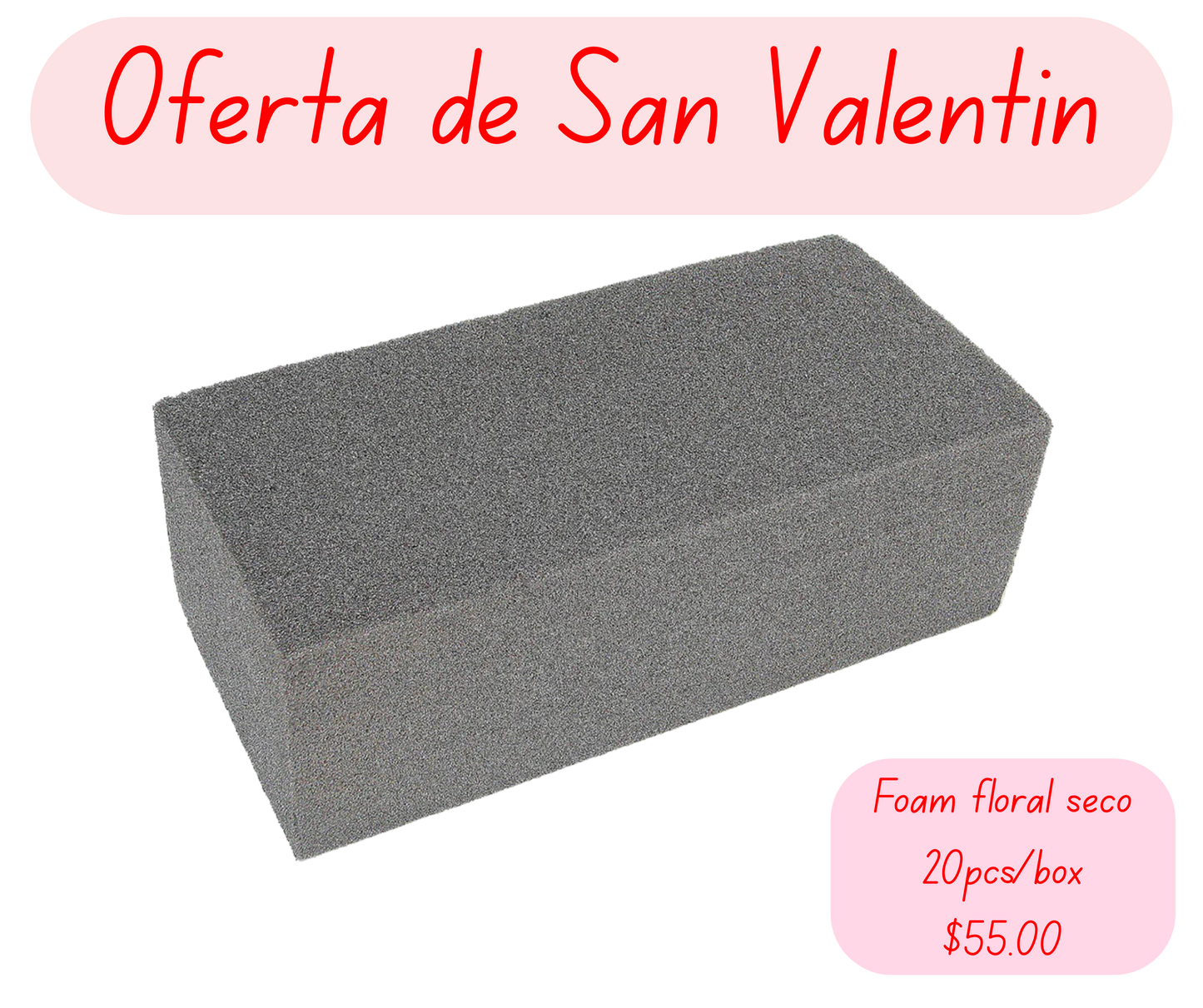 Foam floral seco por caja