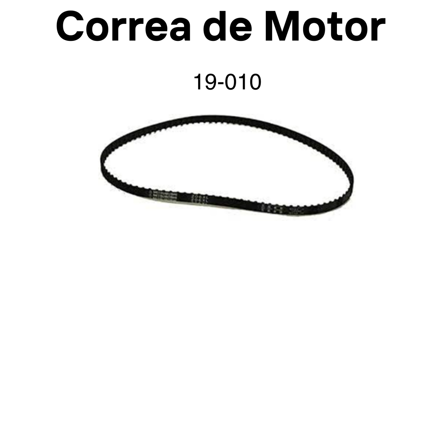 Item: 19-010 Correa de Motor 1pc