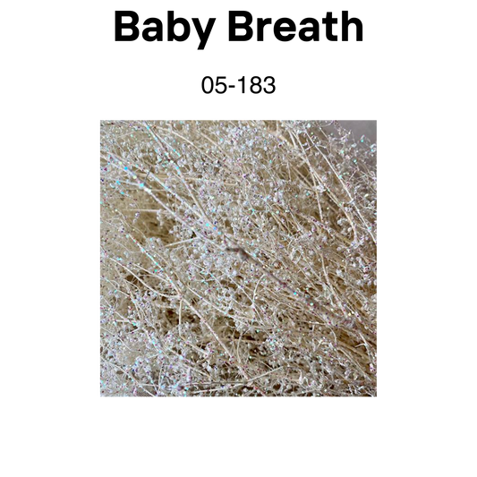 Baby Breath