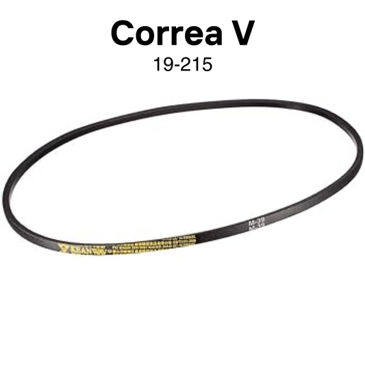 Correa V  Item #19-215